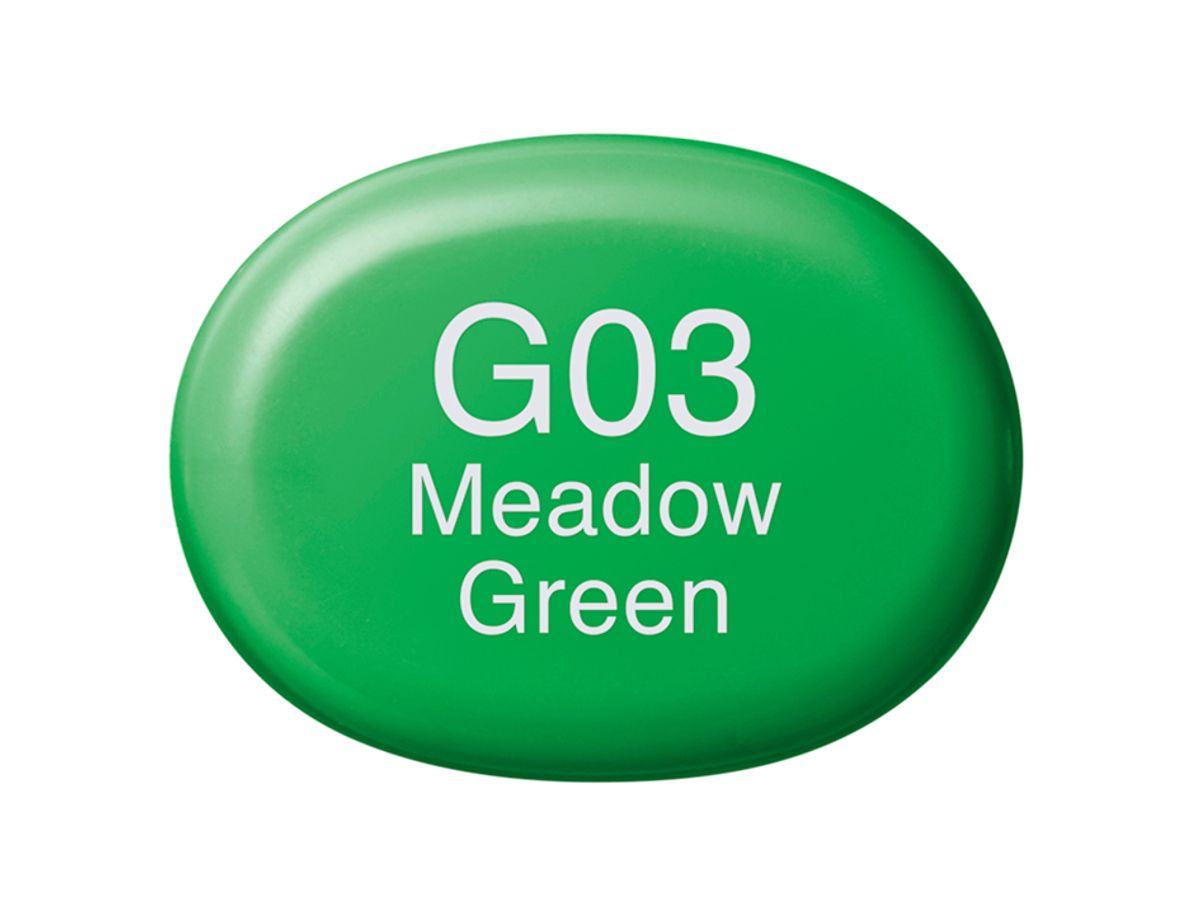 Copic Sketch G03 Meadow Green
