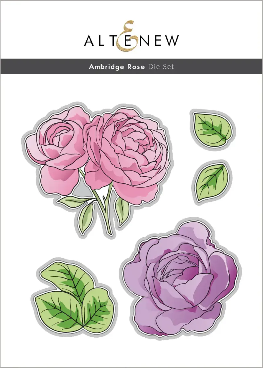 Ambridge Rose Layering Stencil Set