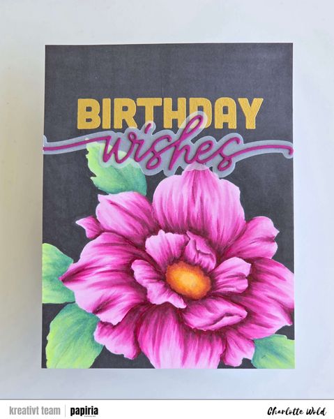 Hovedbilde Twin Blooms stempel- og tusjpakke COPIC